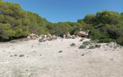 The Consellería de Agricultura, Pesca y Medio Natural begins the removal of construction waste that was inside the Parc Natural Es Trenc-Salobrar