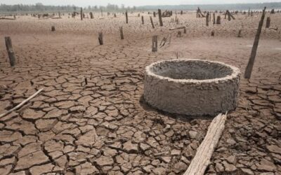 Expenditure of EUR 4 million authorised for the call for drought aid in 2024