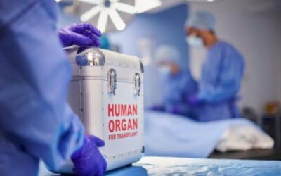 Spain achieves a new record: 48 organ transplants in 24 hours