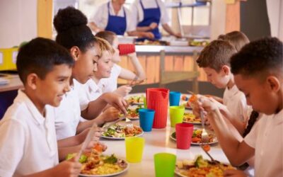 9.5 million euros will be allocated to school canteen subsidies for the 2024/2025 academic year