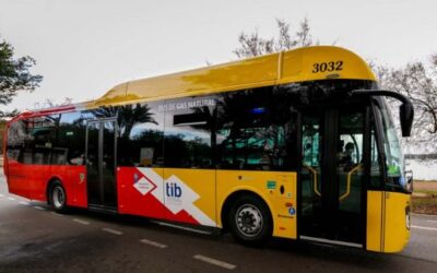 The TIB bus network adds more service with the start of five new lines on the Llevant coast and in the north of Mallorca