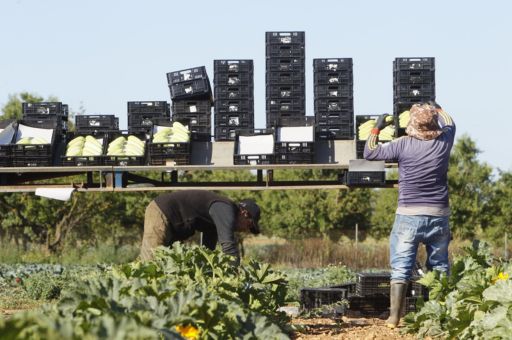 Mallorca Rural organiza los nuevos premios Rural’GO para impulsar la consolidación de empresas en el ámbito rural