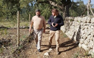 The Consell de Mallorca will earmark one million euros from the remainders of 2023 to repair the Almadrà road in Alaró