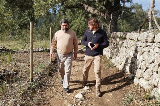 The Consell de Mallorca will earmark one million euros from the remainders of 2023 to repair the Almadrà road in Alaró