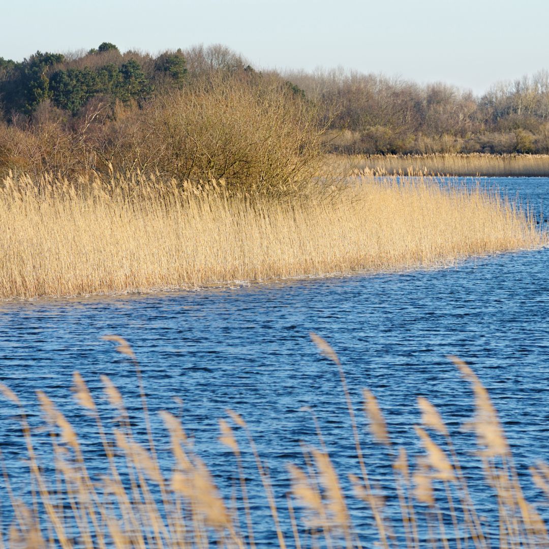 Water reserves in the Balearic Islands