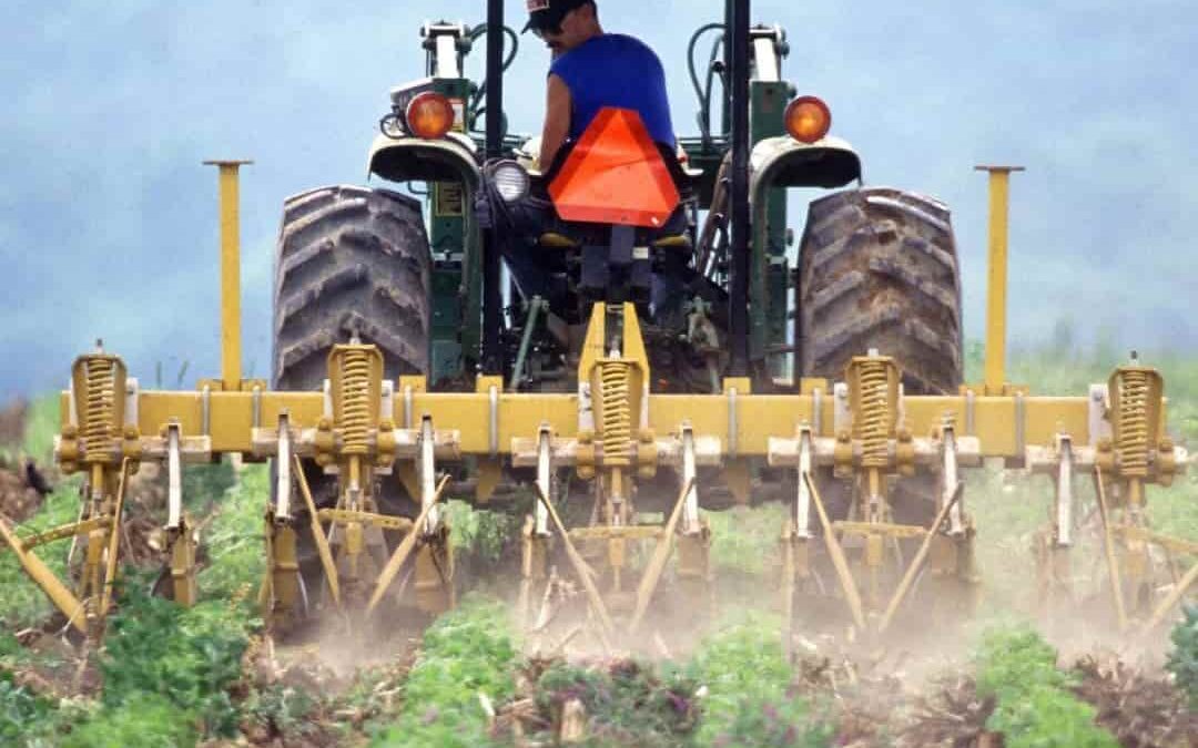 ¿Qué es la Política Agraria Común (PAC)?