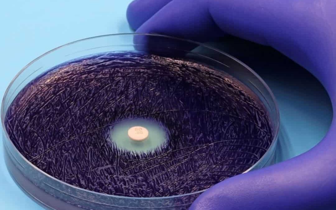 Sanidad y Derechos Sociales estudian medidas para frenar la resistencia a los antimicrobianos y mejorar la calidad de los cuidados en centros residenciales