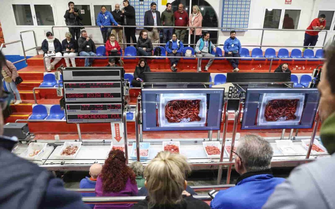 El Consell de Mallorca destina 100.000 euros a las cofradías de pescadores de la isla