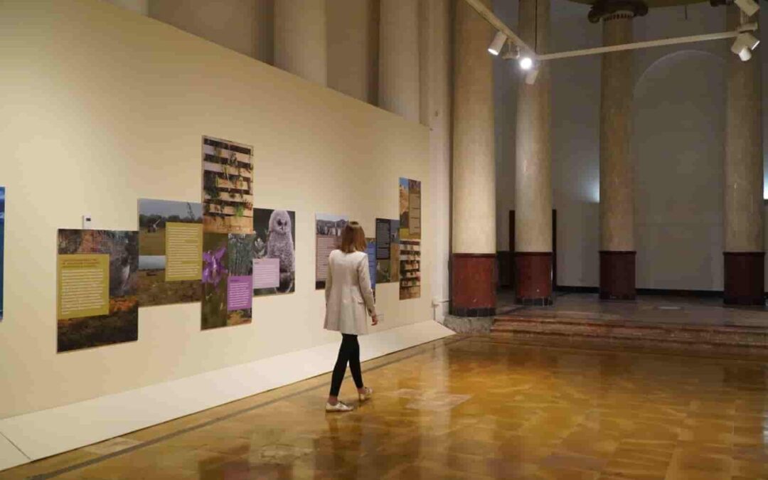 El Consell de Mallorca reabre la capilla de la Misericordia con la exposición Espacios Naturales