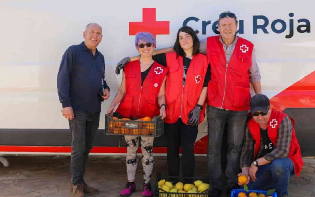 La finca Can Marines entrega a Cruz Roja Ibiza 3.100 kg de naranjas y 450 de limones desde febrero