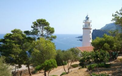 The Govern pays 95.9 million euros to comply with the Muleta II ruling