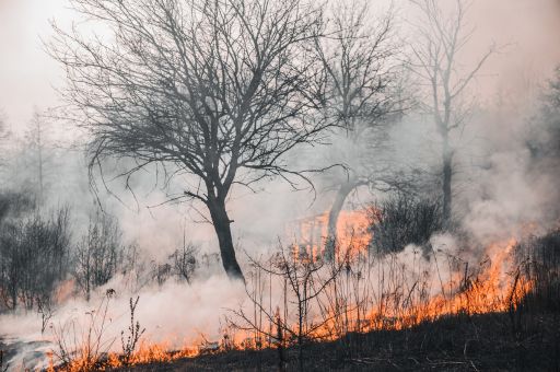 Autorizado el adelanto al día 15 de abril de la época de peligro alto de incendios forestales en Mallorca y Menorca