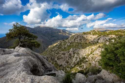 El Consell de Mallorca destina 75.000 euros para consolidar proyectos de custodia del territorio