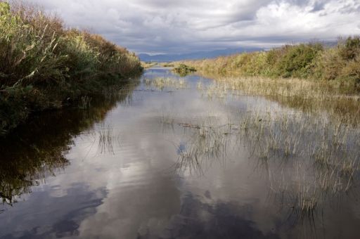 Abierta una convocatoria para financiar proyectos de investigación para evaluar y mitigar el impacto del cambio climático