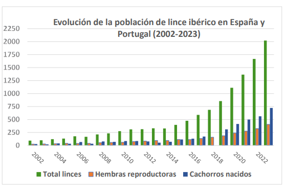 La población de lince ibérico superó los 2.000 ejemplares en 2023 y se aleja progresivamente del riesgo de extinción 4 image