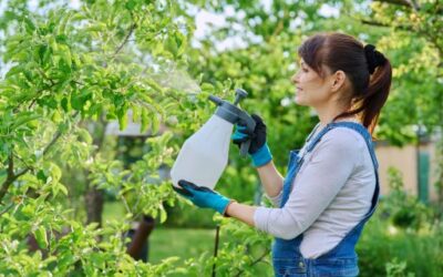 The Department of Economy and General Services increases aid to plant protection groups to 60,000 euros