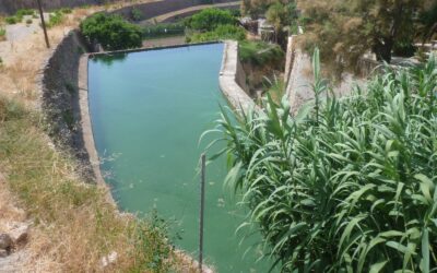 The Serra de Tramuntana Consortium aims to restore the hydraulic network and clean up the Serra de Tramuntana forests