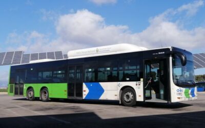 EMT Palma restores service on line 19 to coincide with the start of the school year