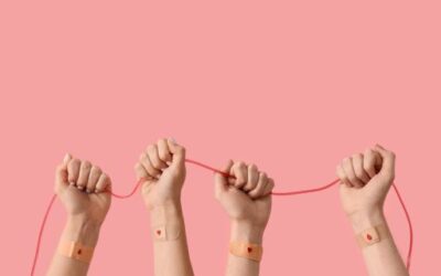 Spain exceeds half a million donors in the Bone Marrow Donor Registry
