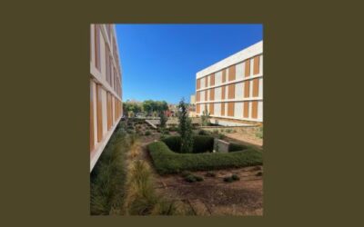 The IBAVI hands over the new development of 57 subsidised housing units for the public housing units for rent for elderly, young people and people with disabilities, elderly and youths in Es Molinar