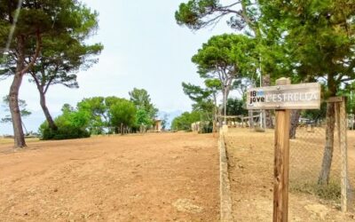 The IBJOVE opens the booking period for the La Victòria camp for recreational-educational stays during the 2025 season