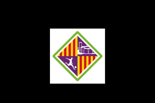Direct grant of 160,000 euros to the Balearic Islands Palma Futsal to organise the Intercontinental Cup 2024