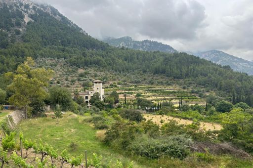 FOGAIBA pays 9.9 million euros of the first advance payment of CAP aid