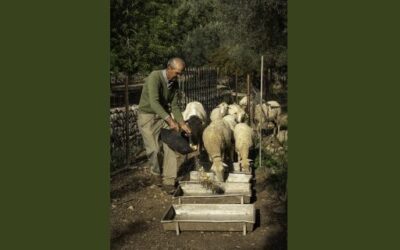 The twelve winners of the Serra de Tramuntana Photography Competition are now known