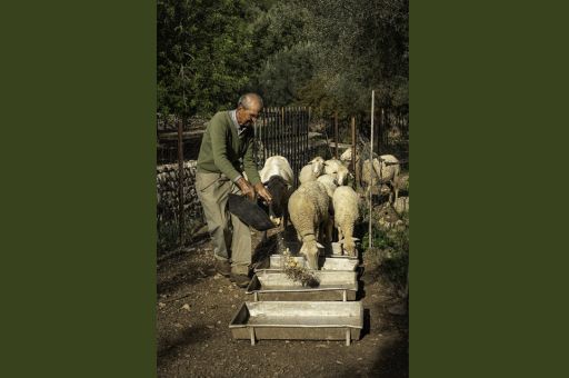 The twelve winners of the Serra de Tramuntana Photography Competition are now known