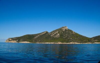 Preventive Campaign Launched to Survey and Trap Invasive Snakes in Sa Dragonera Natural Park to Protect the Island’s Native Biodiversity
