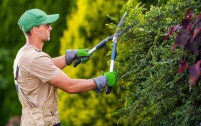 El SOIB lanza un total de 249 ofertas de empleo dirigidas a personas jóvenes desempleadas y cualificadas