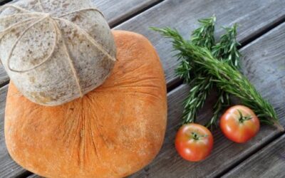 Direct Producers’ Market to Premiere at the Sant Jordi Fira del Caragol to Connect Farmers with Consumers