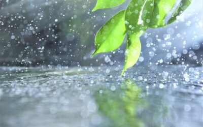 Water Reserves Rise by One Point in April, Reaching 53% in the Balearic Islands
