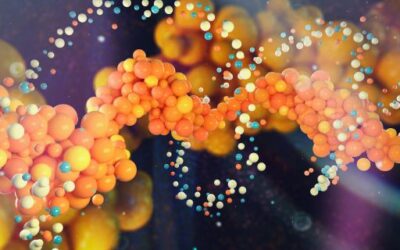 The Ministry of Education and Universities Launches a New Grant Program for Scientific Outreach and Public Science Communication Projects