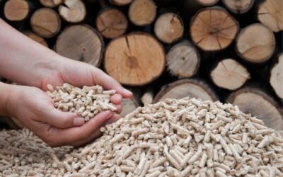 Declarada proyecto industrial estratégico la planta de aprovechamiento térmico de biomasa Reciclafusta