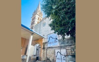 20 Years of Homemade Wine, Tradition and Community in Binissalem