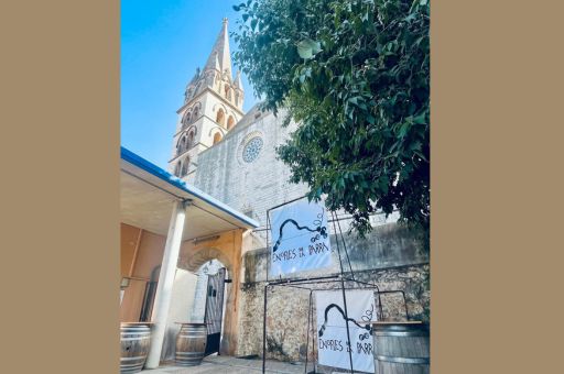 20 Years of Homemade Wine, Tradition and Community in Binissalem