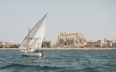 The Consell de Mallorca and Es Baluard Museu d’Art Contemporani presented the artistic project by Alberto Baraya, entitled Llatina i Mestral