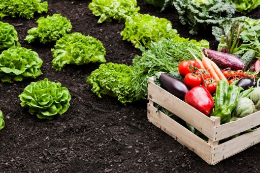 Agriculture Promotes Approval of a Compensation Mechanism for the Effective Implementation of the CAP Strategic Plan