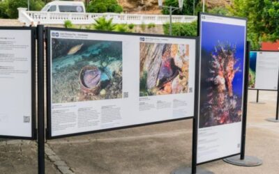 Menorca hosts the travelling exhibition MARE24 with 32 images of the Balearic seabed