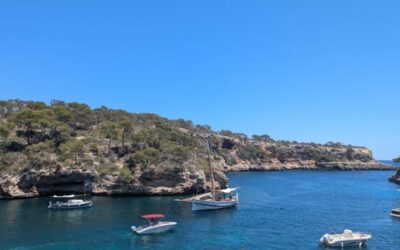 The Government bans the commercial use of moorings in regional ports in response to state regulations
