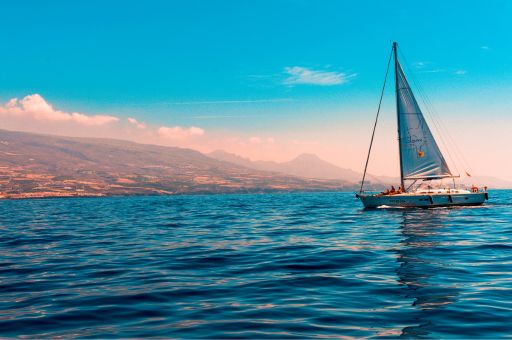 The Consell of Ibiza calls on the Government of Spain to withdraw the regulation allowing tourist rentals of private boats