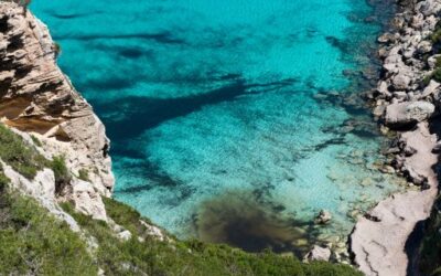 The Consell de Govern appoints Maria Joaquina Ferrer Matas as Director General of Coasts and Coastal Areas