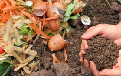 Food Waste in Spain Drops by 4.4% in 2024, Reaching Its Lowest Level Since 2016