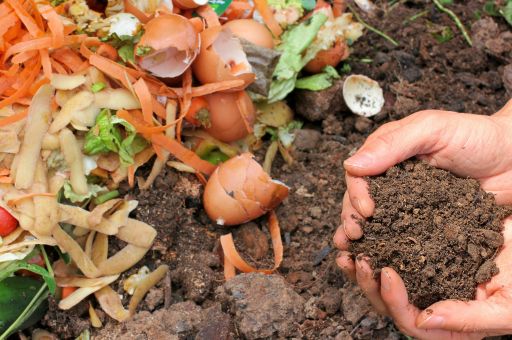 Food Waste in Spain Drops by 4.4% in 2024, Reaching Its Lowest Level Since 2016