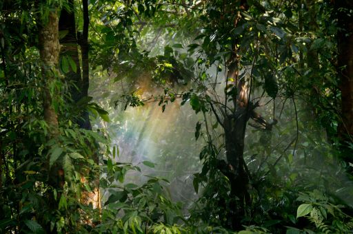 Transición Ecológica destina 148 millones a 199 proyectos de energías renovables con almacenamiento