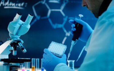 The Ministry of Education and Universities Opens the Application Period for Scientific and Technological Research Projects (PRD2025)