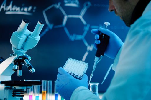 The Ministry of Education and Universities Opens the Application Period for Scientific and Technological Research Projects (PRD2025)