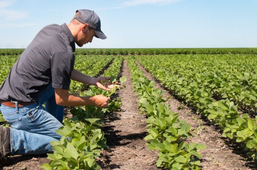 Agricultura reparte casi 11 millones de la reserva nacional de la PAC a 2.336 agricultores y ganaderos, el 72% jóvenes