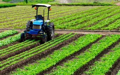 Agriculture Ministry Approves an Additional €100 Million in Direct CAP Payments
